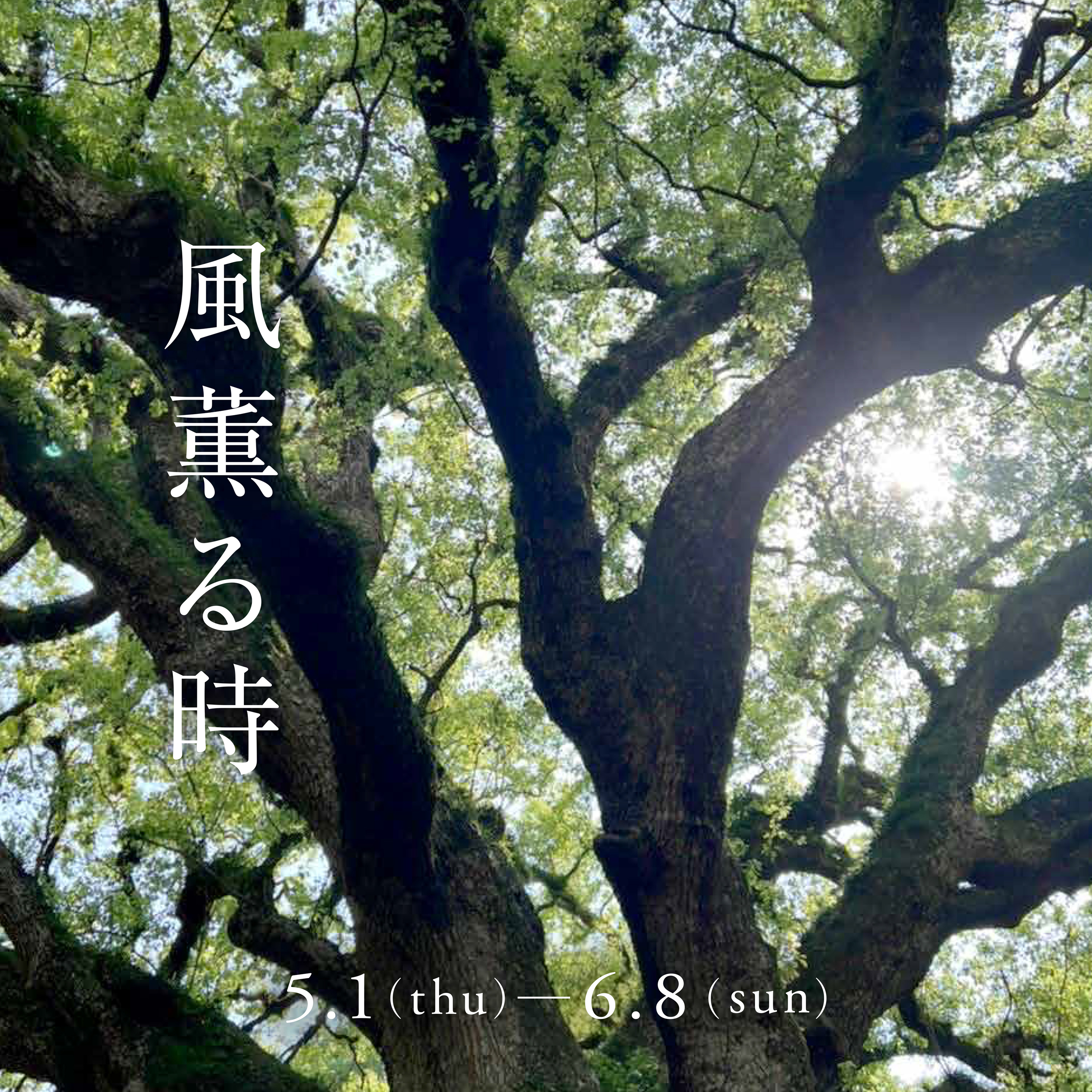 uwaru POP-UP「風薫る時…」 @京都岡崎 蔦屋書店