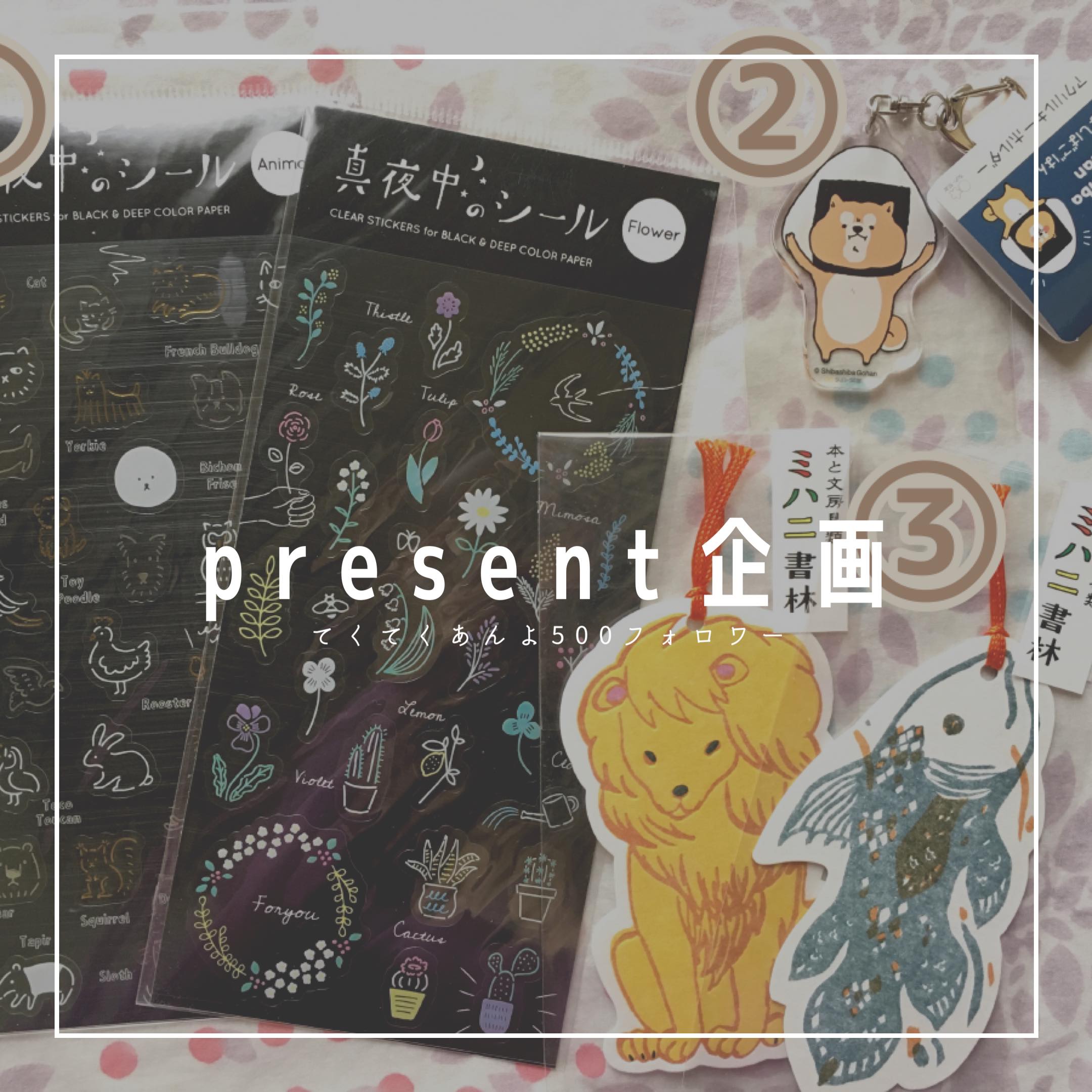 ＊InstagramフォロワーPresent企画実施中＊