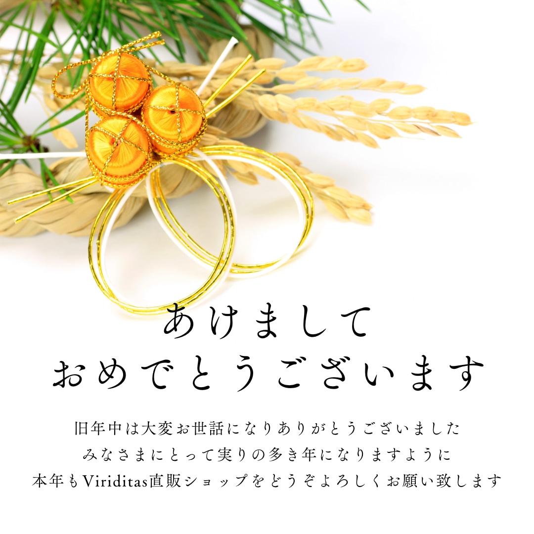 あけましておめでとうございます。2025年もどうぞよろしくお願い致します。