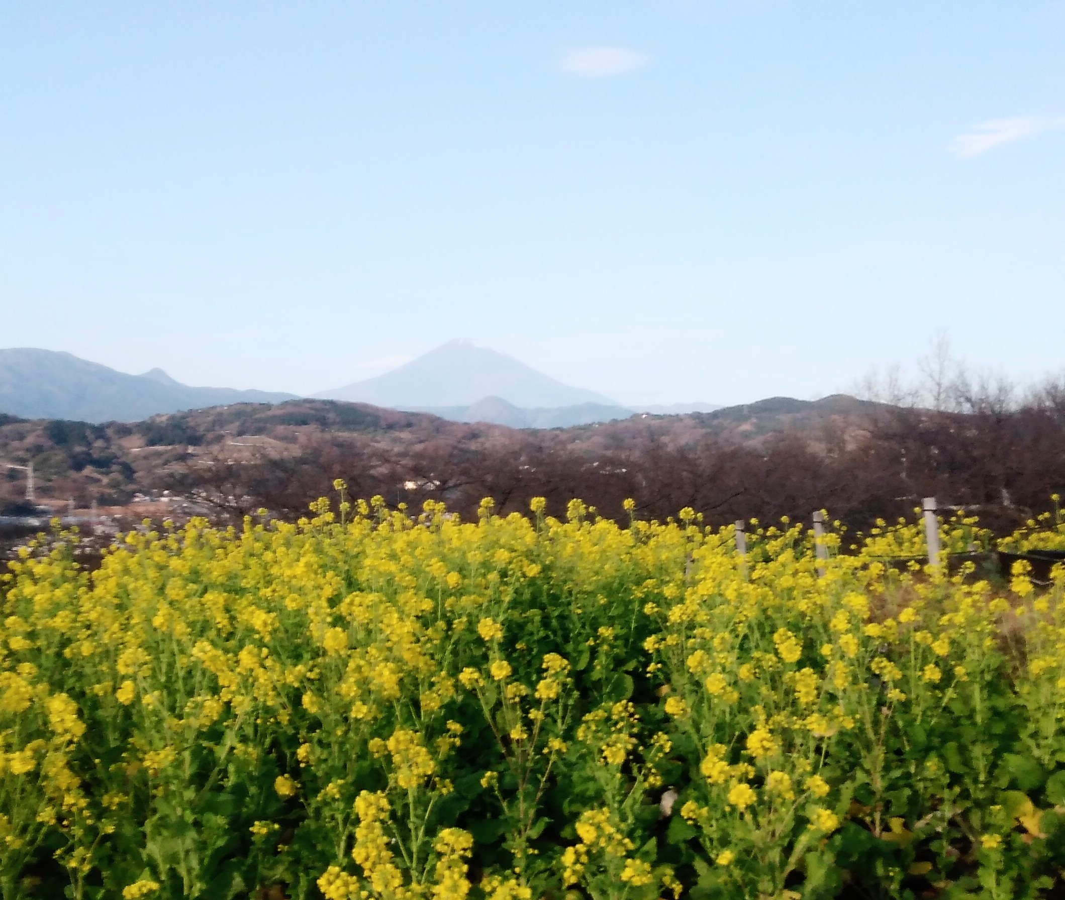 20201227 吾妻山山頂