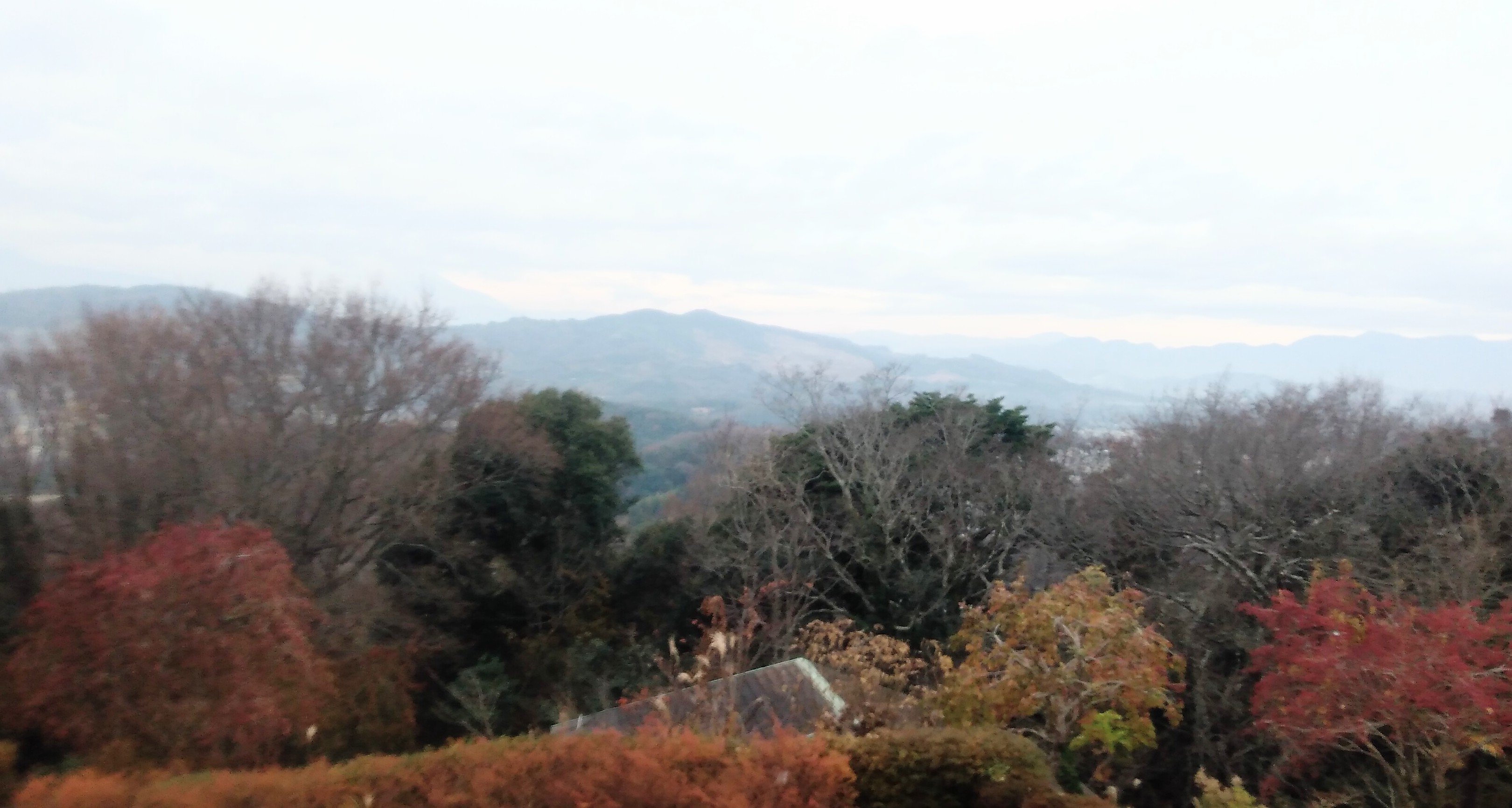 20201228吾妻山山頂