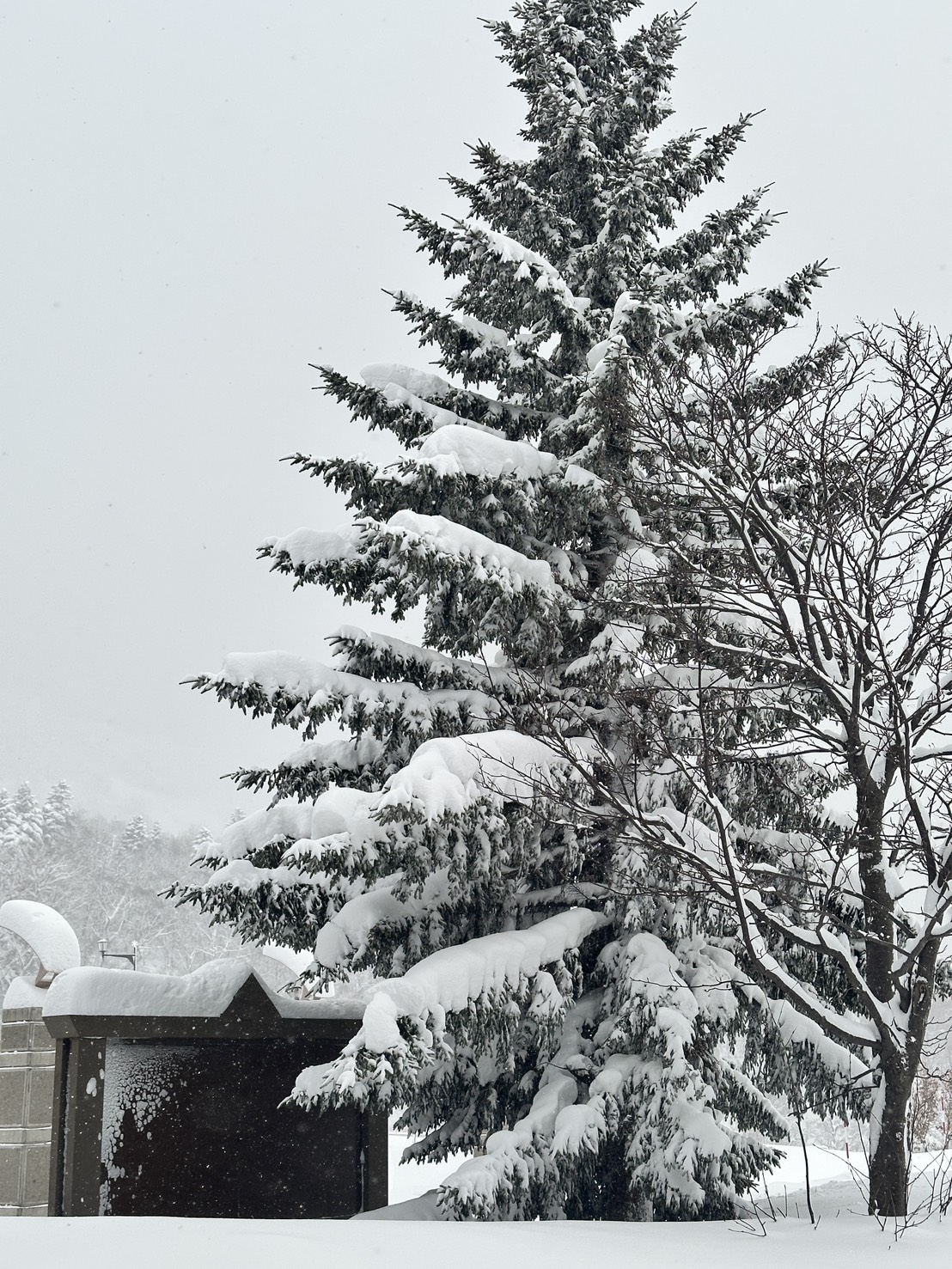 新年のご挨拶と、これから作っていきたいものの話。