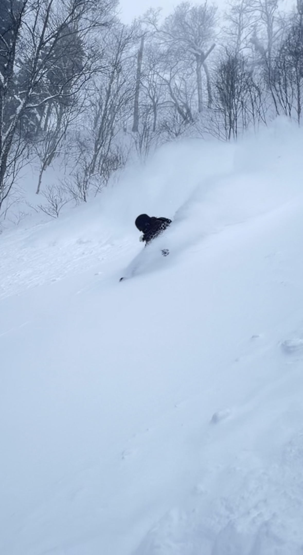 「信頼して踏める一本。百瀬純平が語る、小賀坂スキーという存在」後編