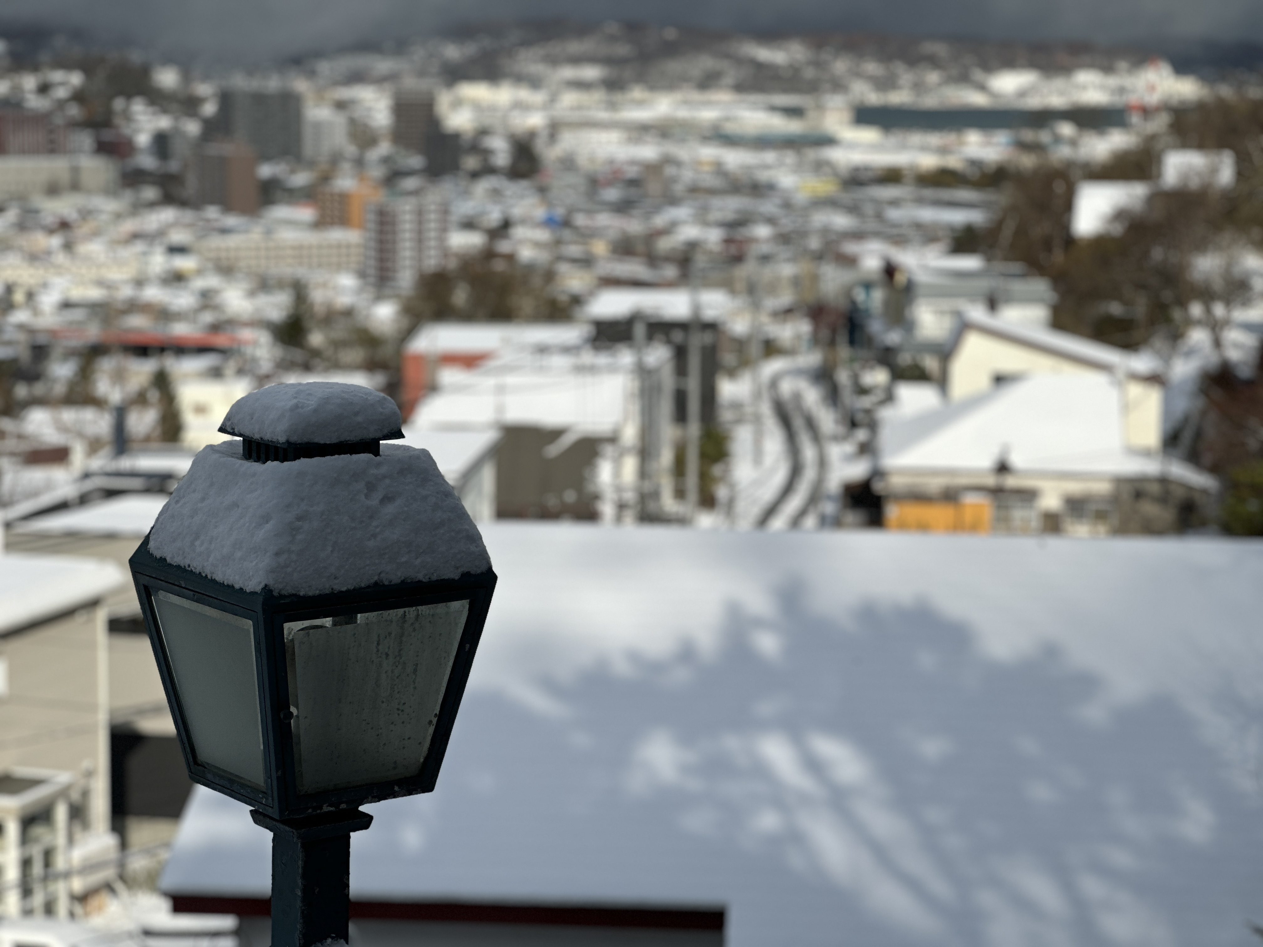 小樽に冬が来ました。大切なお知らせと、これからのZASSO のこと。