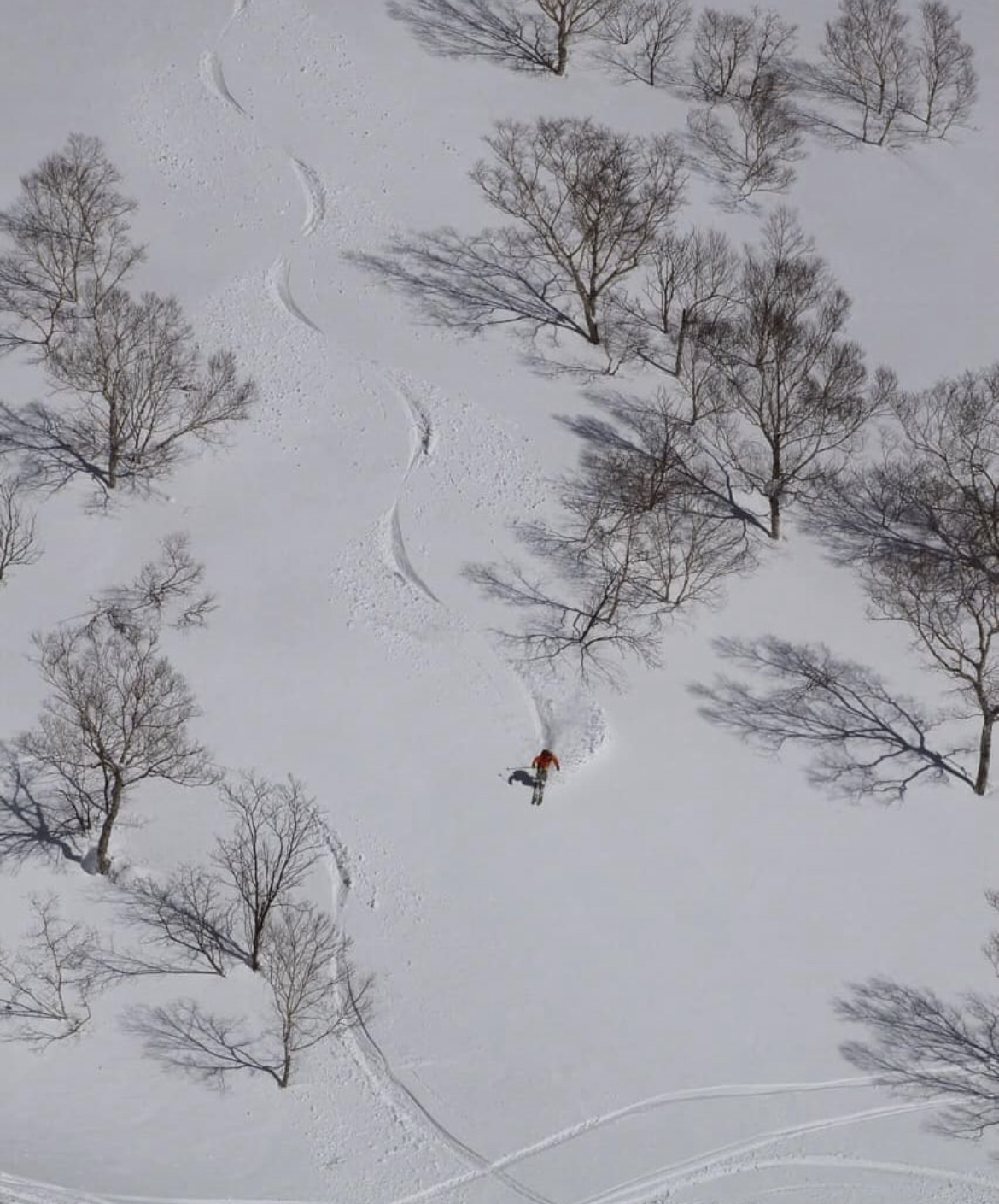「信頼して踏める一本。百瀬純平が語る、小賀坂スキーという存在」~前半編〜