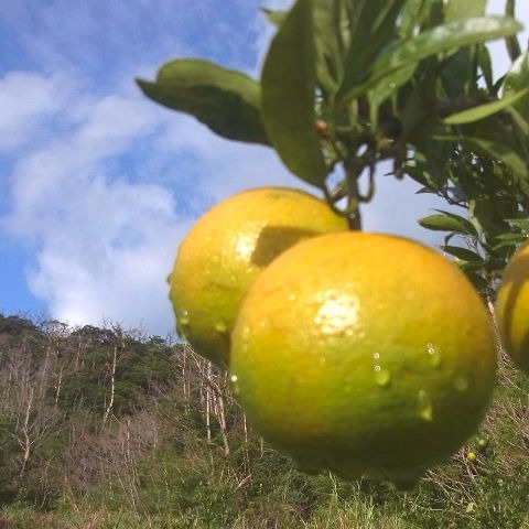 おめでとうございます。