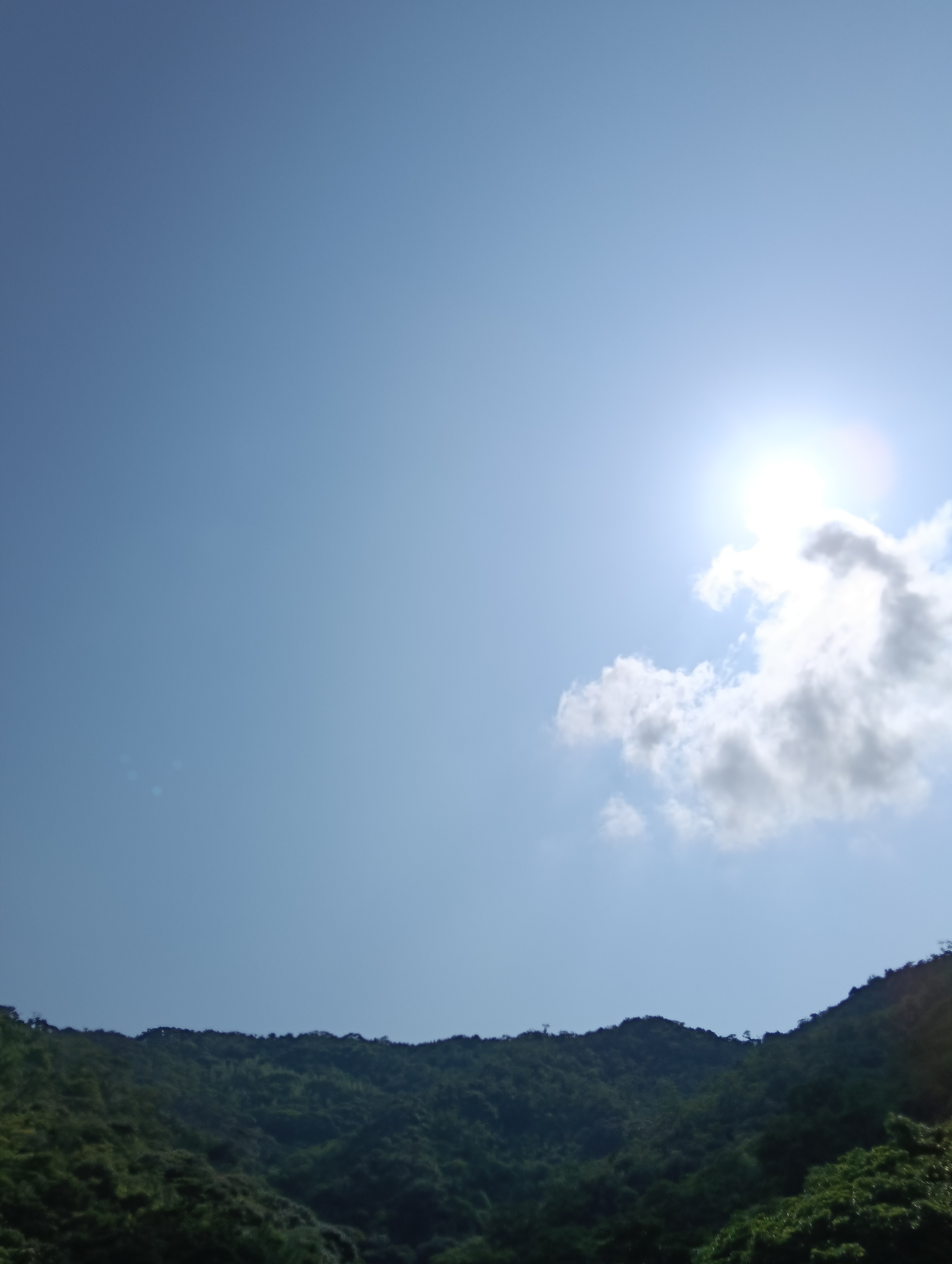 発送開始