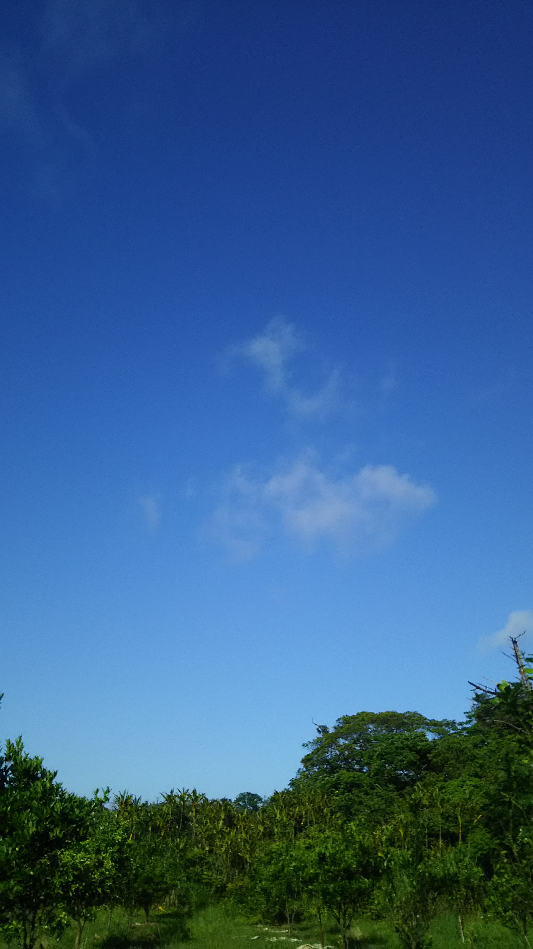 雨のち晴れ