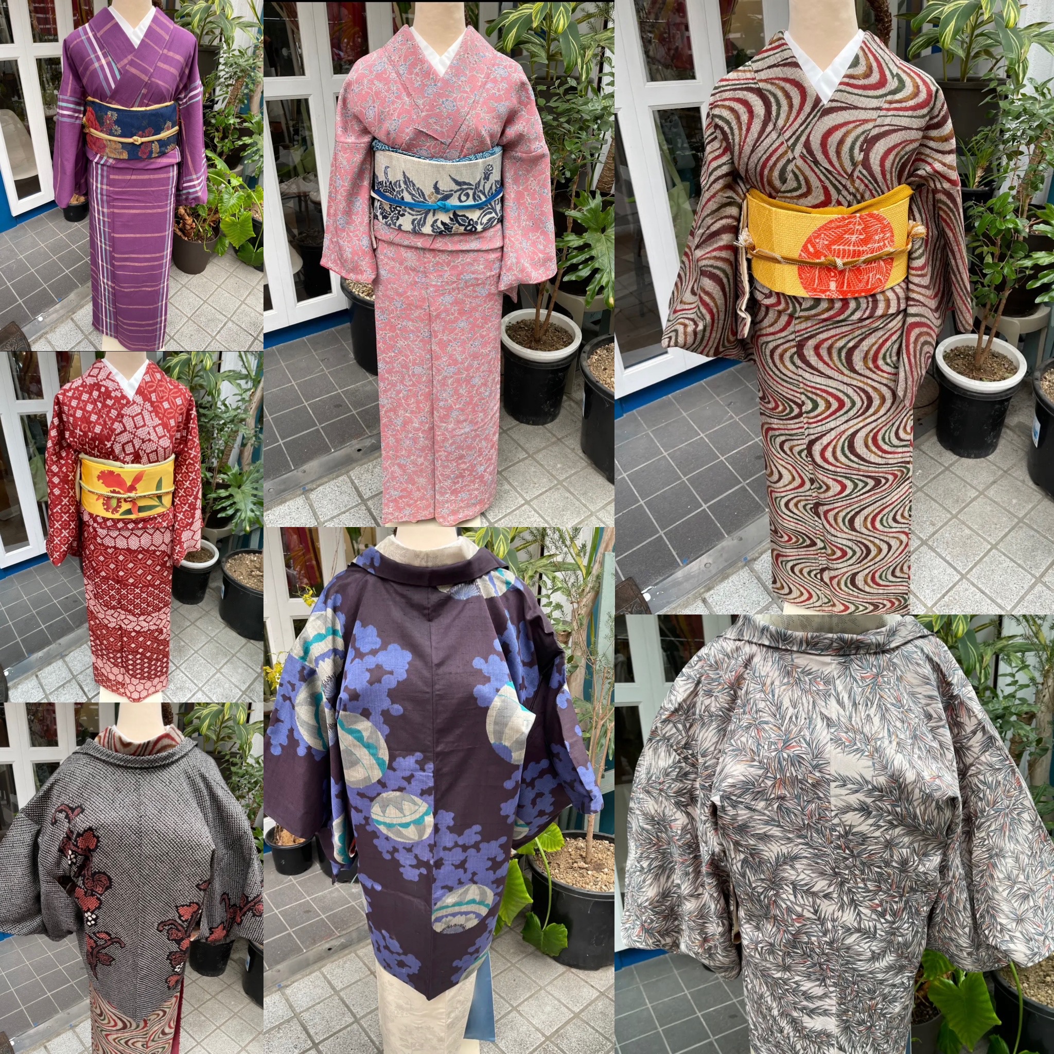 着物に最適な季節がやってきましたね☘️