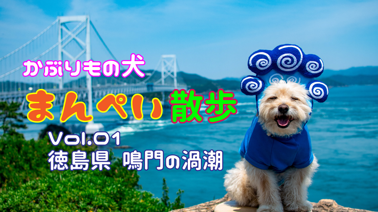 【Vol.1】かぶりもの犬まんぺい散歩～徳島県鳴門市　鳴門の渦潮～