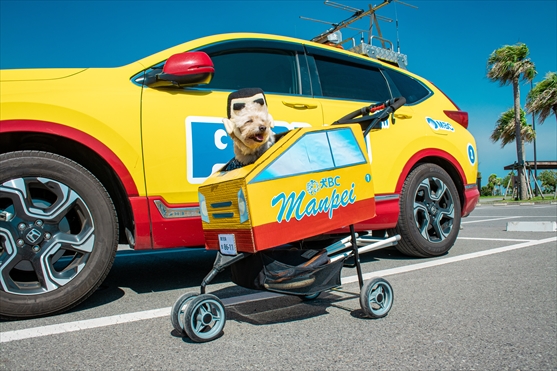 かぶりもの犬のスマイル中継!?