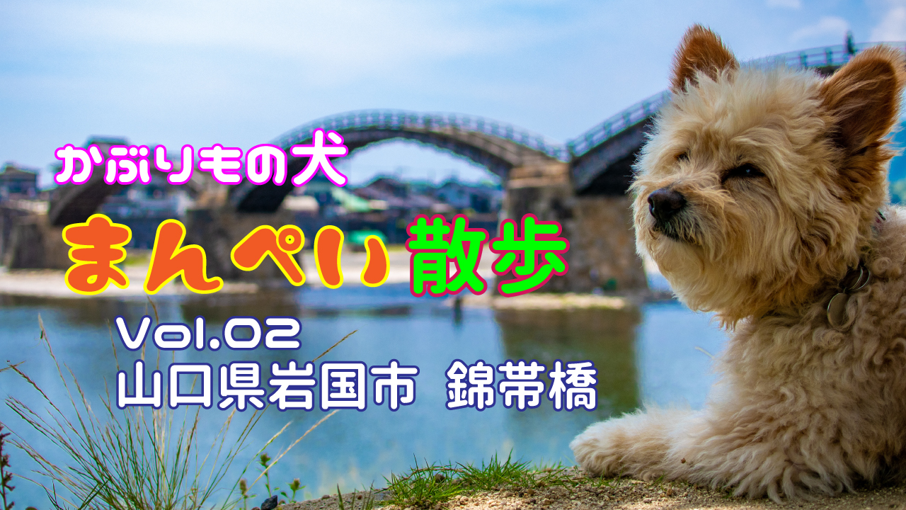 【Vol.2】かぶりもの犬まんぺい散歩～山口県岩国市　錦帯橋～