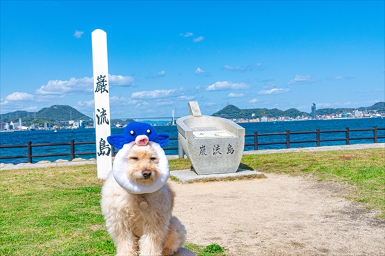 かぶりもの犬まんぺいの歩き方～巌流島～