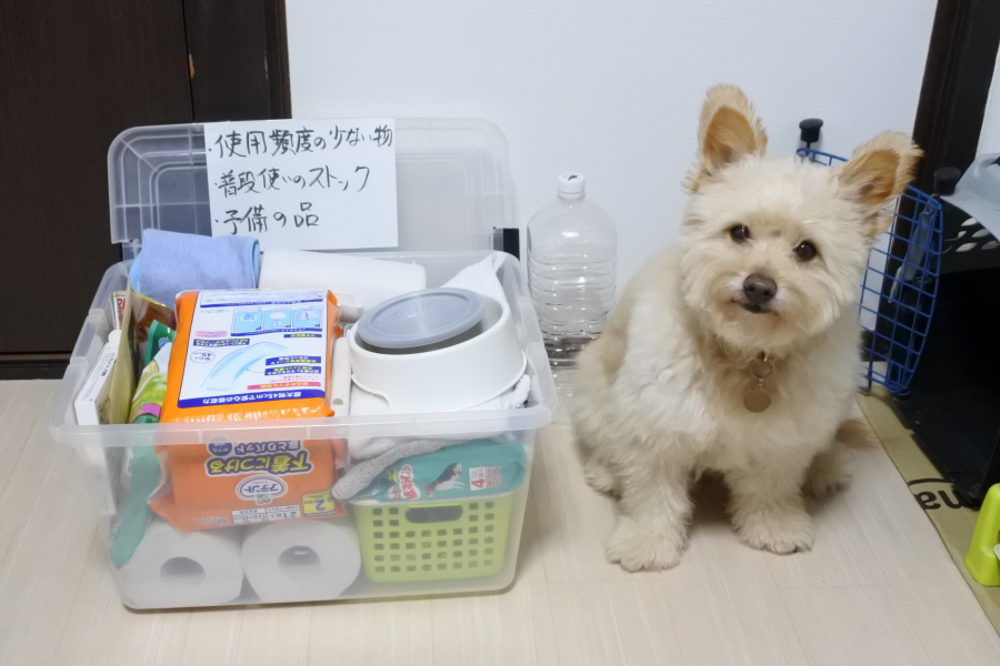 愛犬と長期車中泊するための準備　～Vol.3:使用頻度の少ない物を入れるボックスについて～