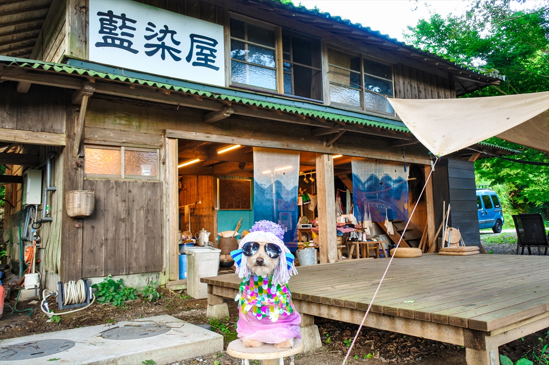 違いの分かるワンコになりたくて♪（後編）