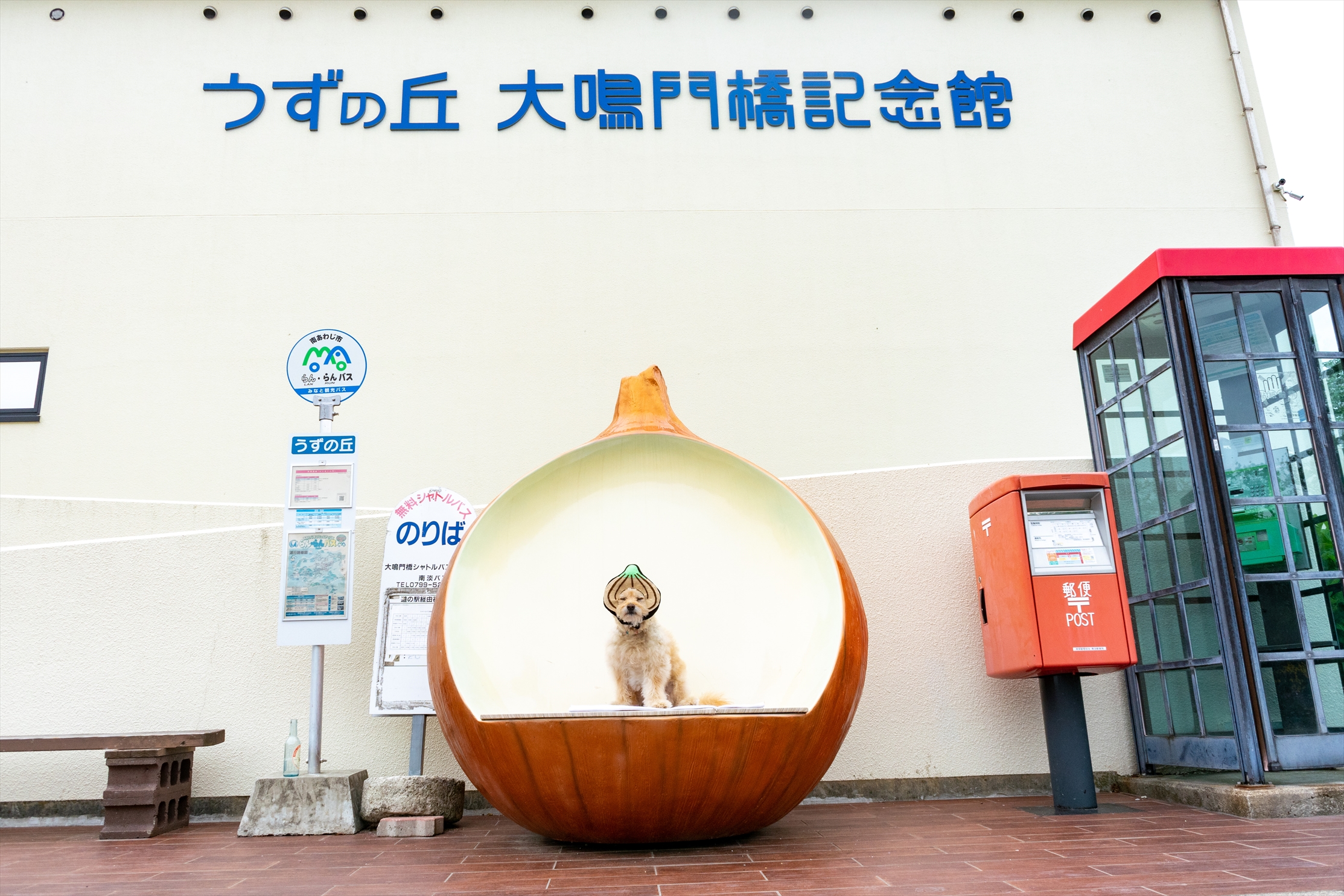 ✨映える玉ねぎ✨