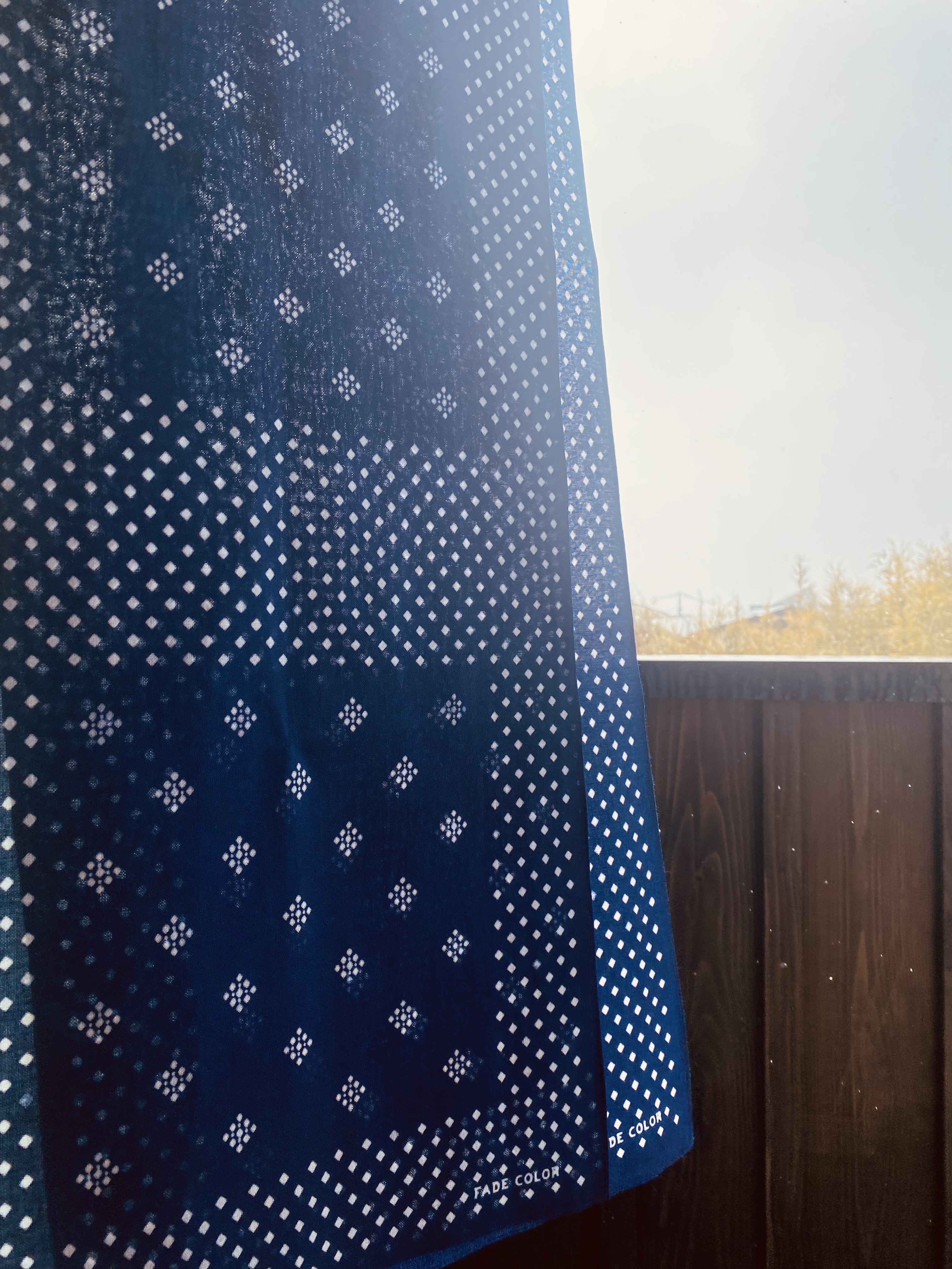 2/20販売開始 SEGAL別注新柄のお知らせ