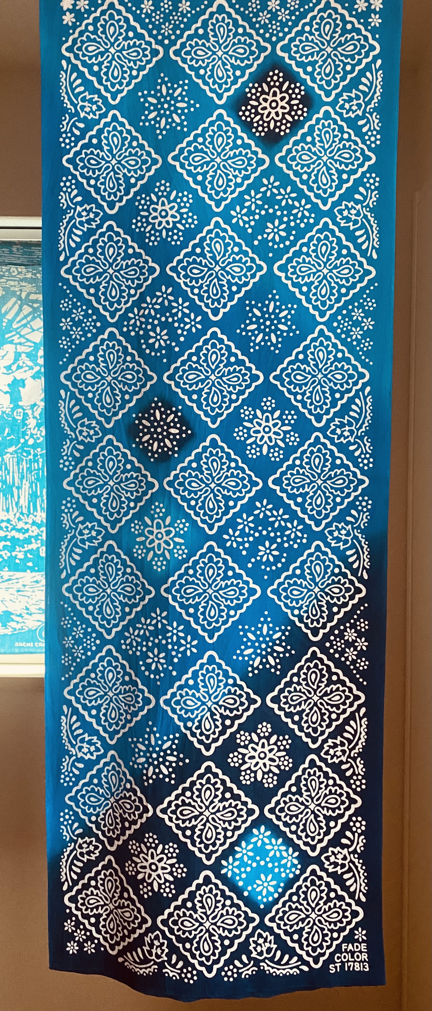 特別色新色『アオハルグラデ』