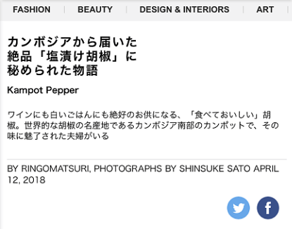 T Japanのウェブサイトで紹介していただきました