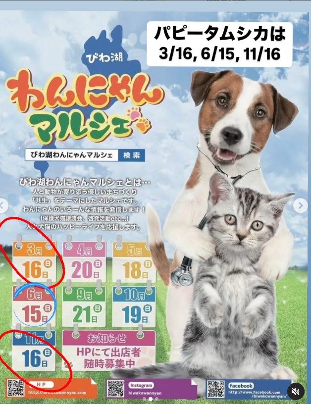 2025年のびわ湖わんにゃんマルシェ（パピータムシカの出店予定日）