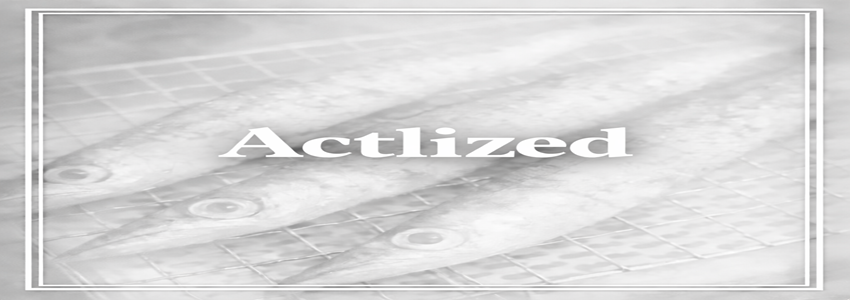 Actlized|学ぶ、試す、極める