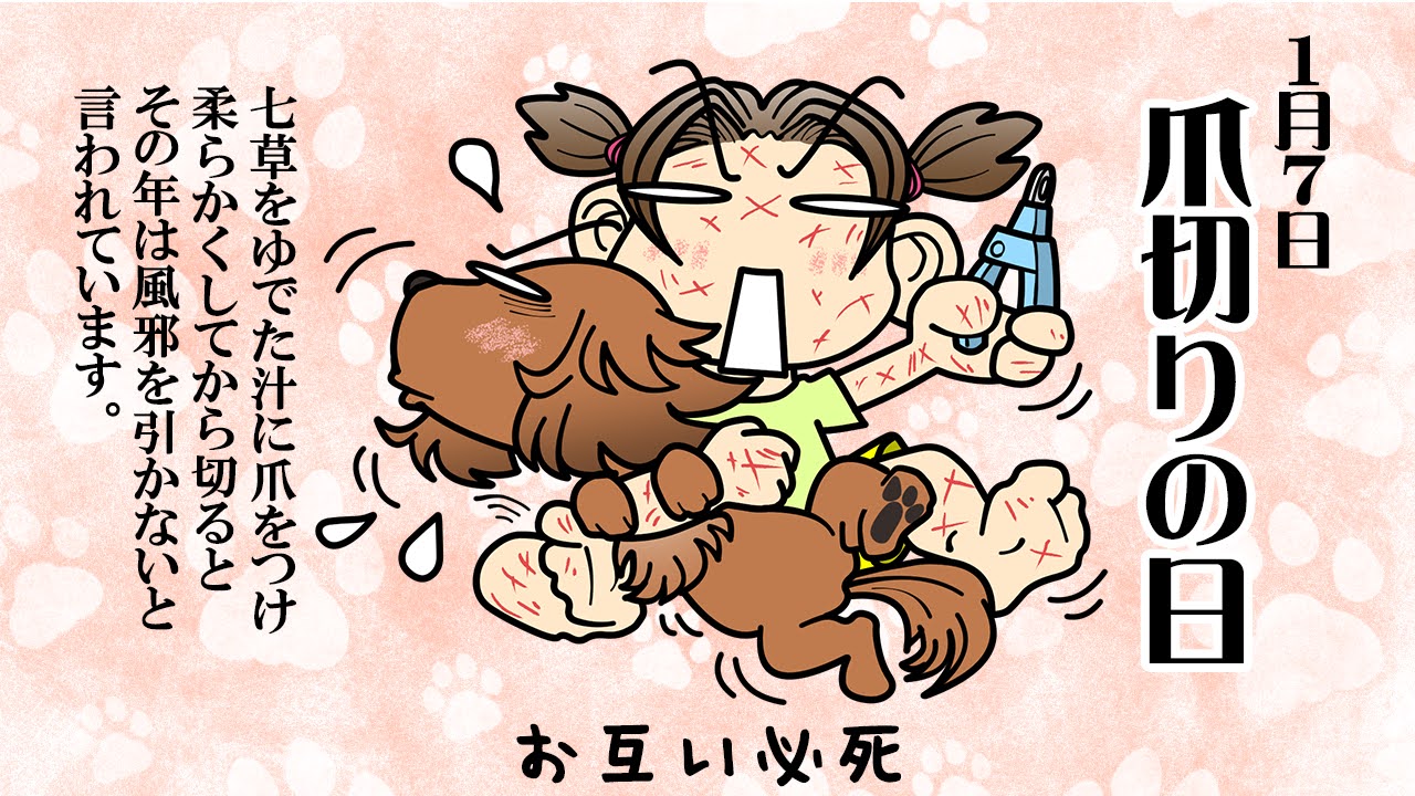 爪切りの日