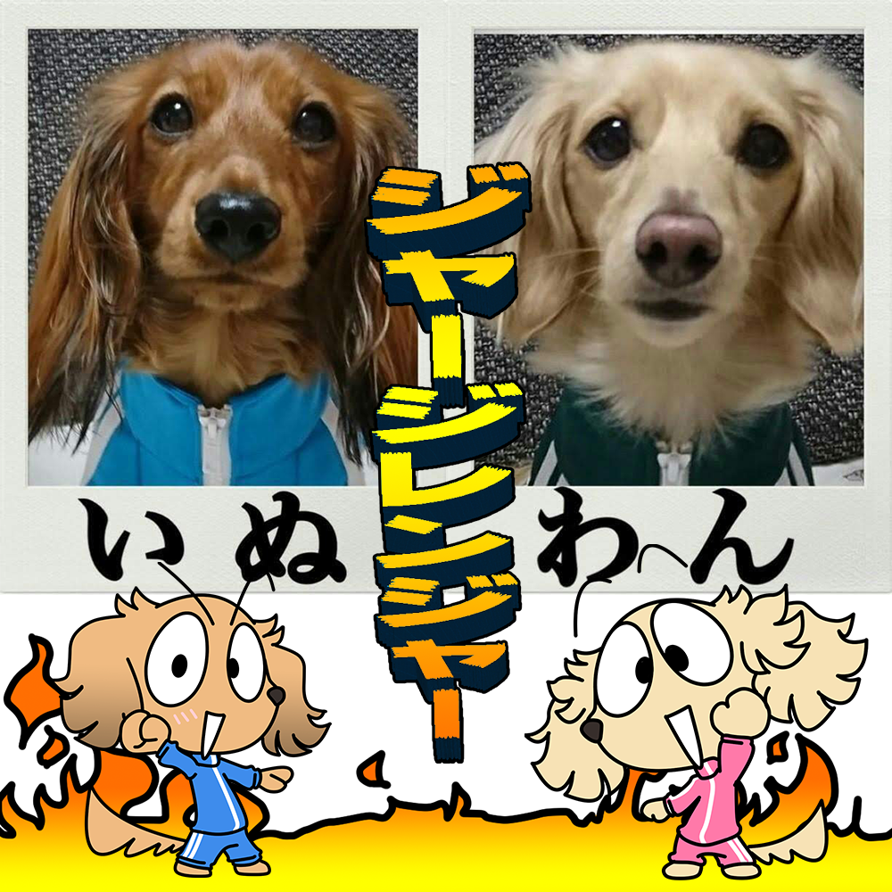 ゆるっと可愛い♪ ジャージ姿のダックスフンドスタンプ販売開始