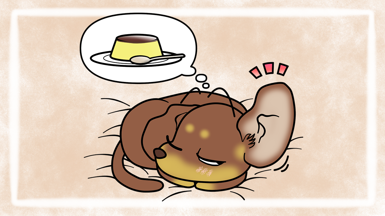 耳の日