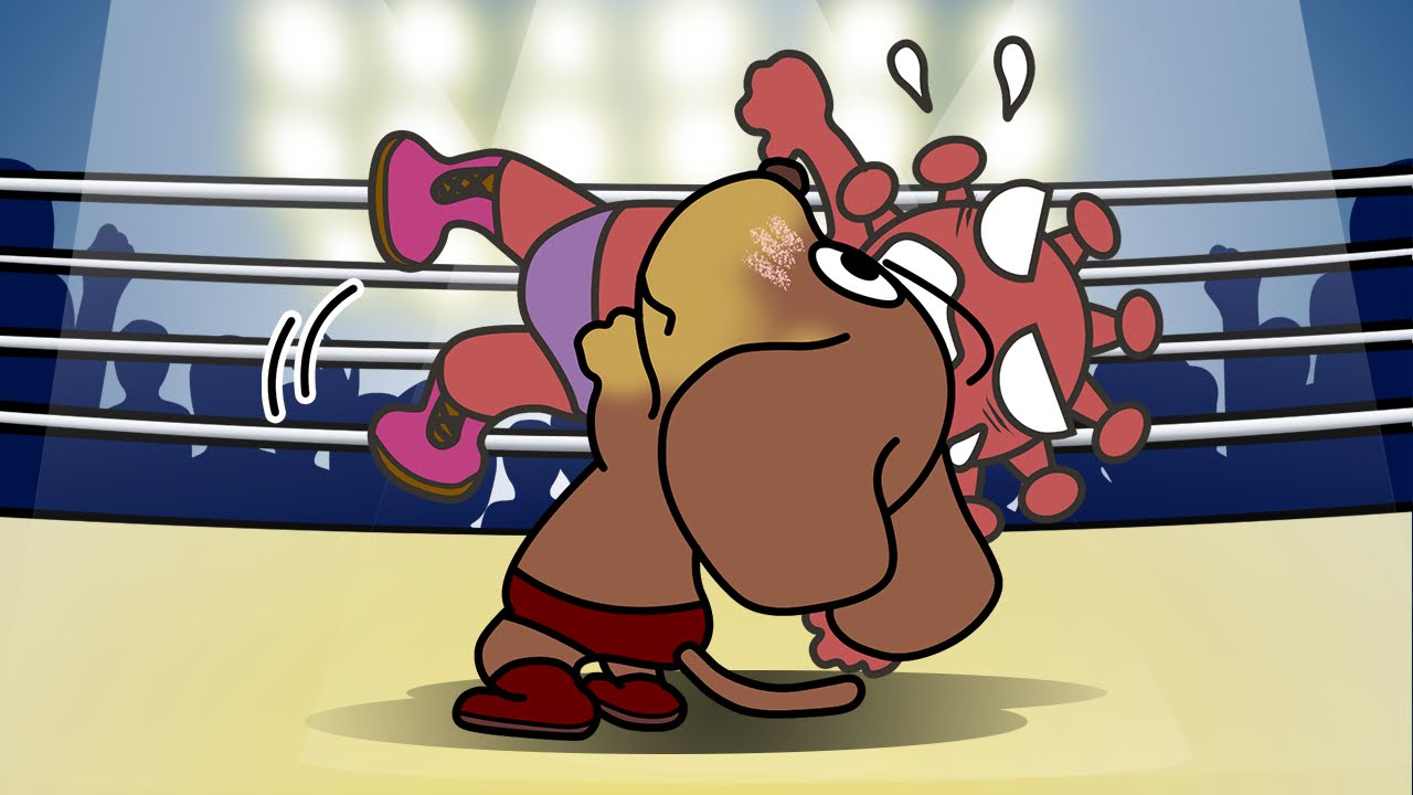 プロレス記念日