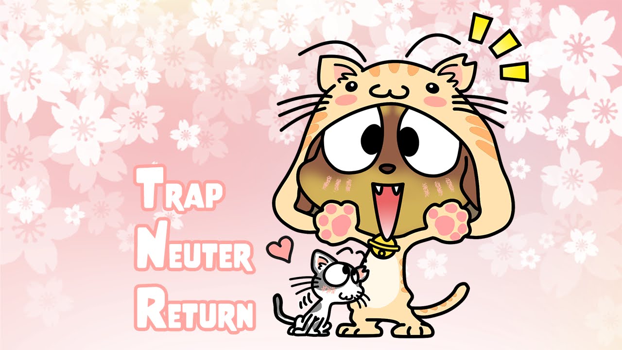 さくらねこの日