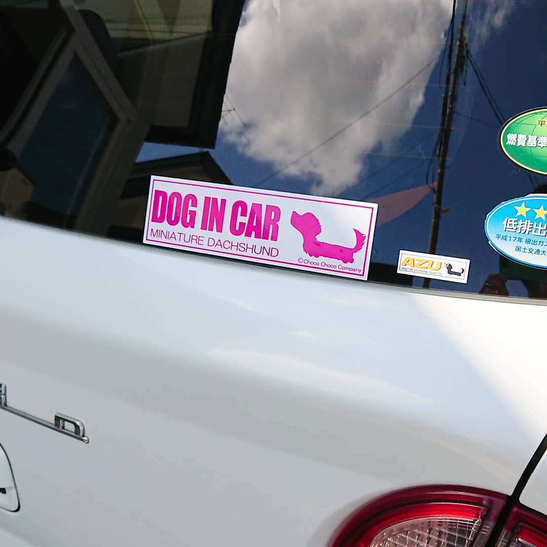 ミニチュアダックスフンドのDOG IN CARステッカー