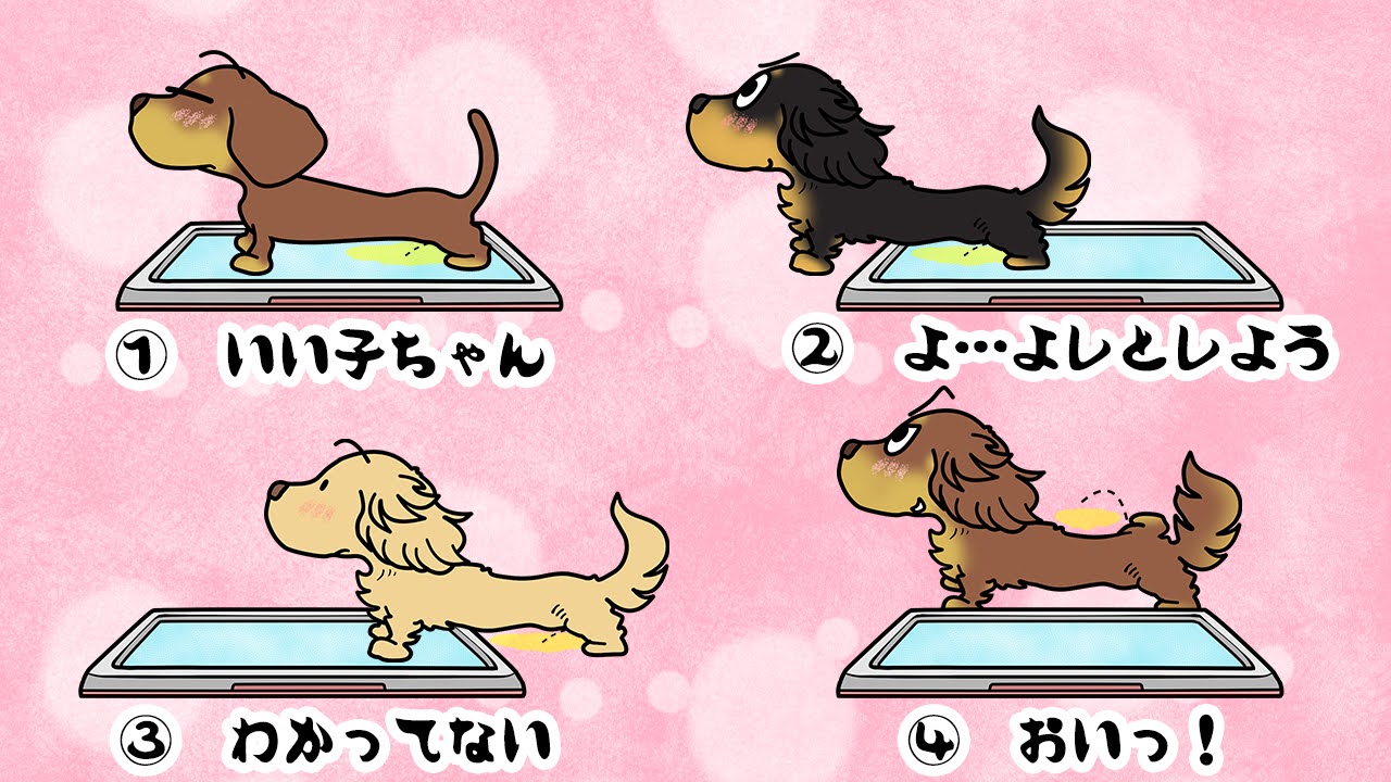 トイレの日