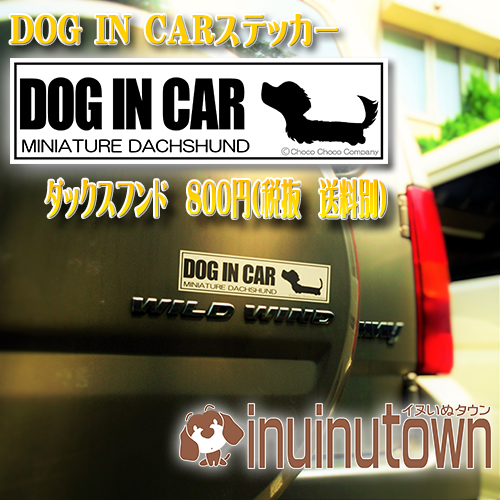 DOG IN CARステッカーとダックスフンド