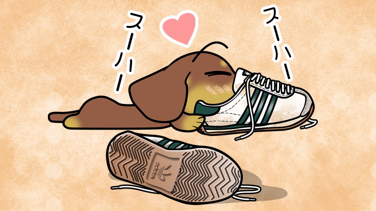 いい靴の日