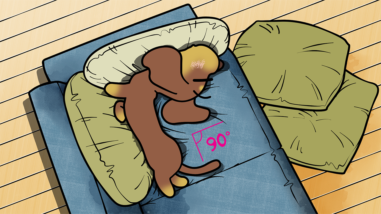 スケートの日