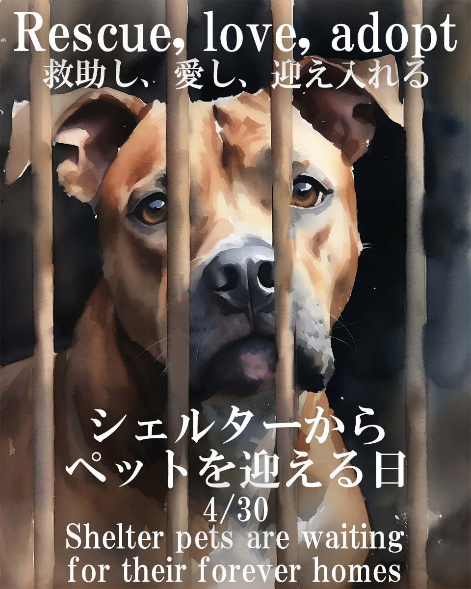 シェルターからペットを迎える日