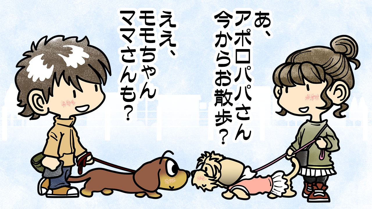 苗字の日