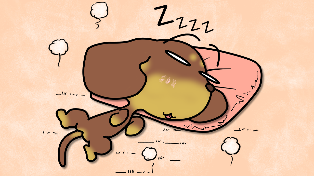 ひとみの日