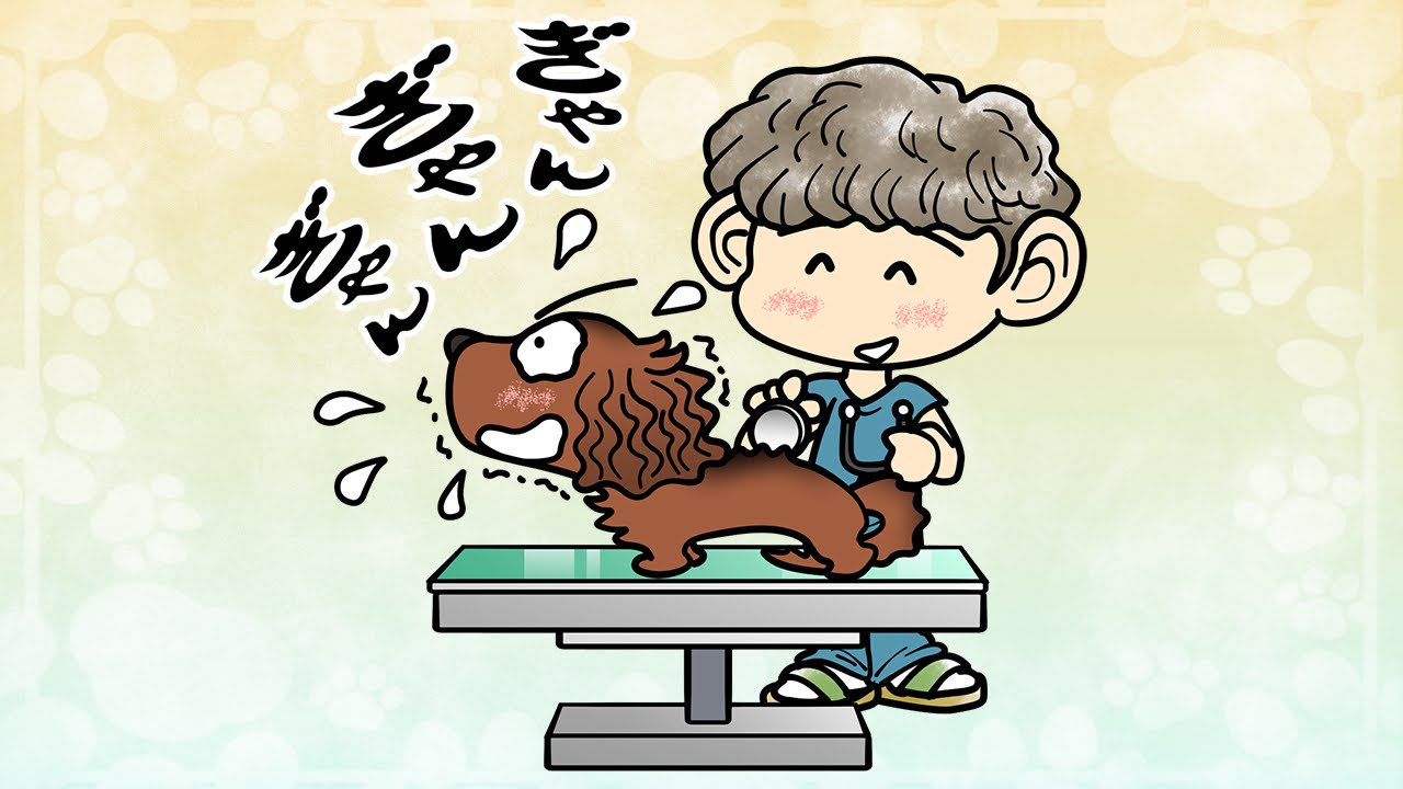 ペットの健康診断の日