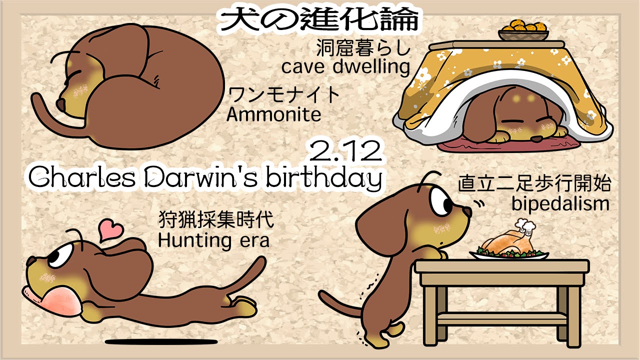 ダーウィンの日