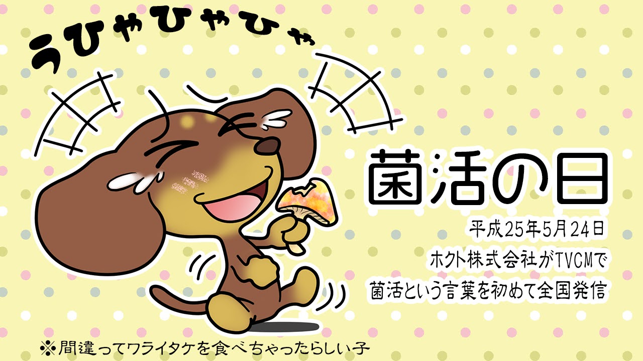 菌活の日