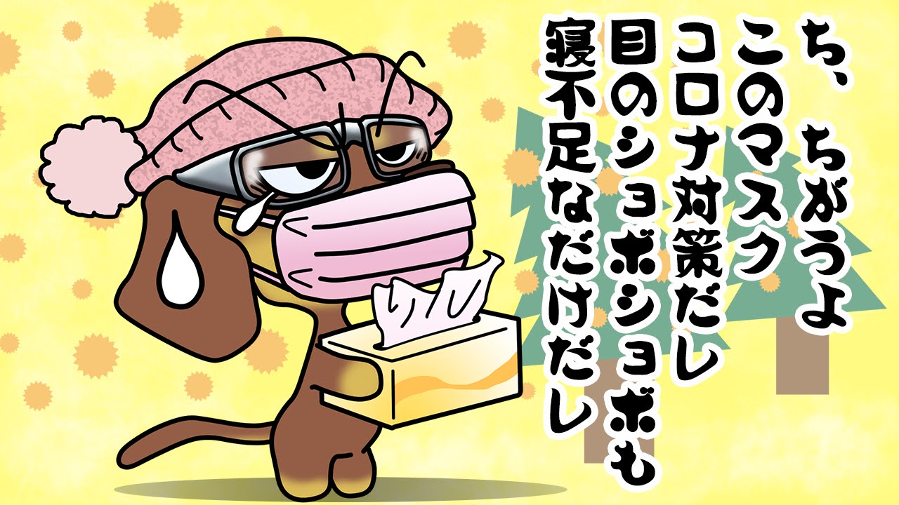 花粉症対策の日