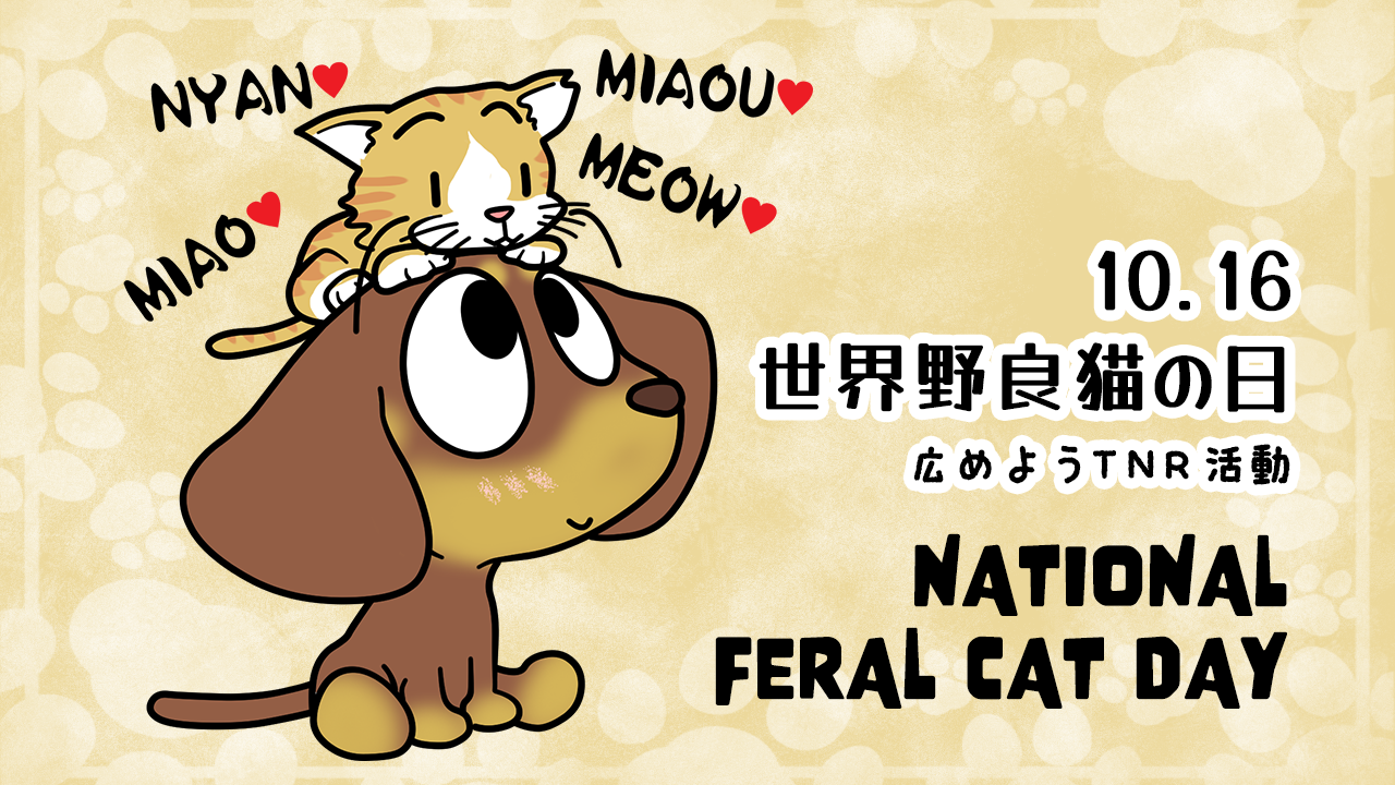 世界野良猫の日