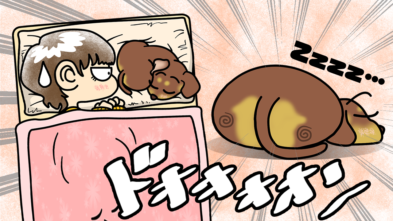 いいおしりの日