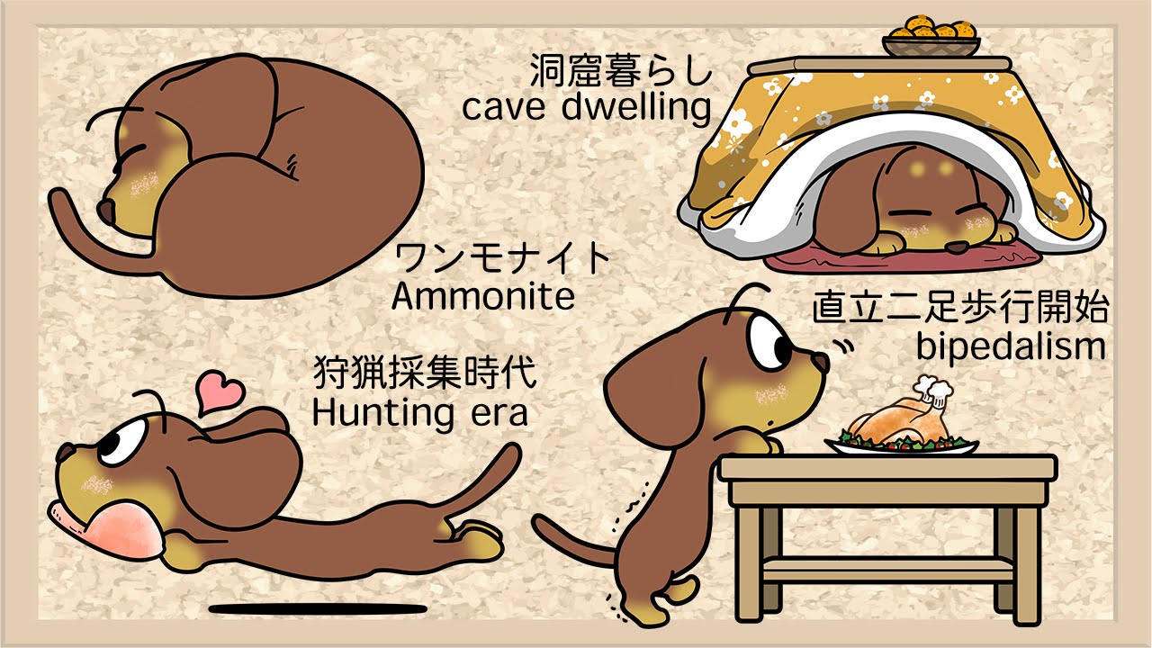 進化の日
