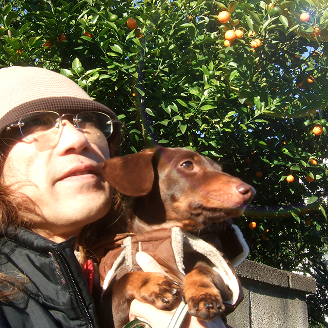 愛犬はミニチュアダックスフンドです
