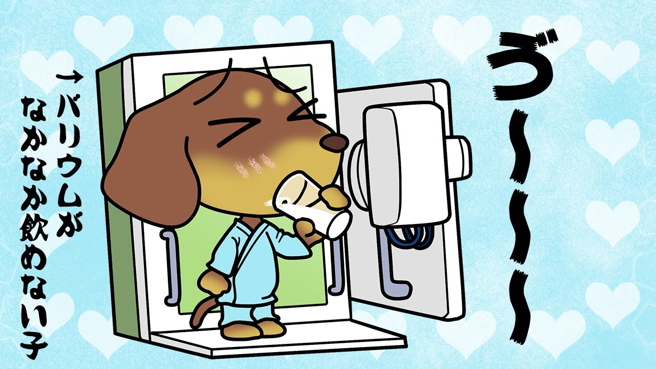 レントゲンの日