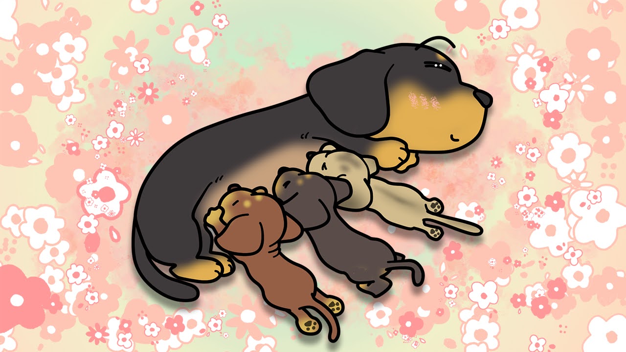 いい育児の日