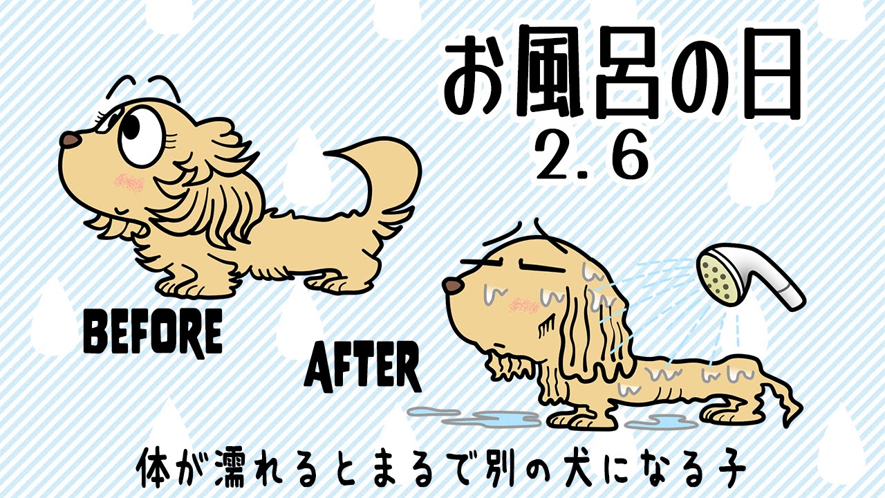 お風呂の日