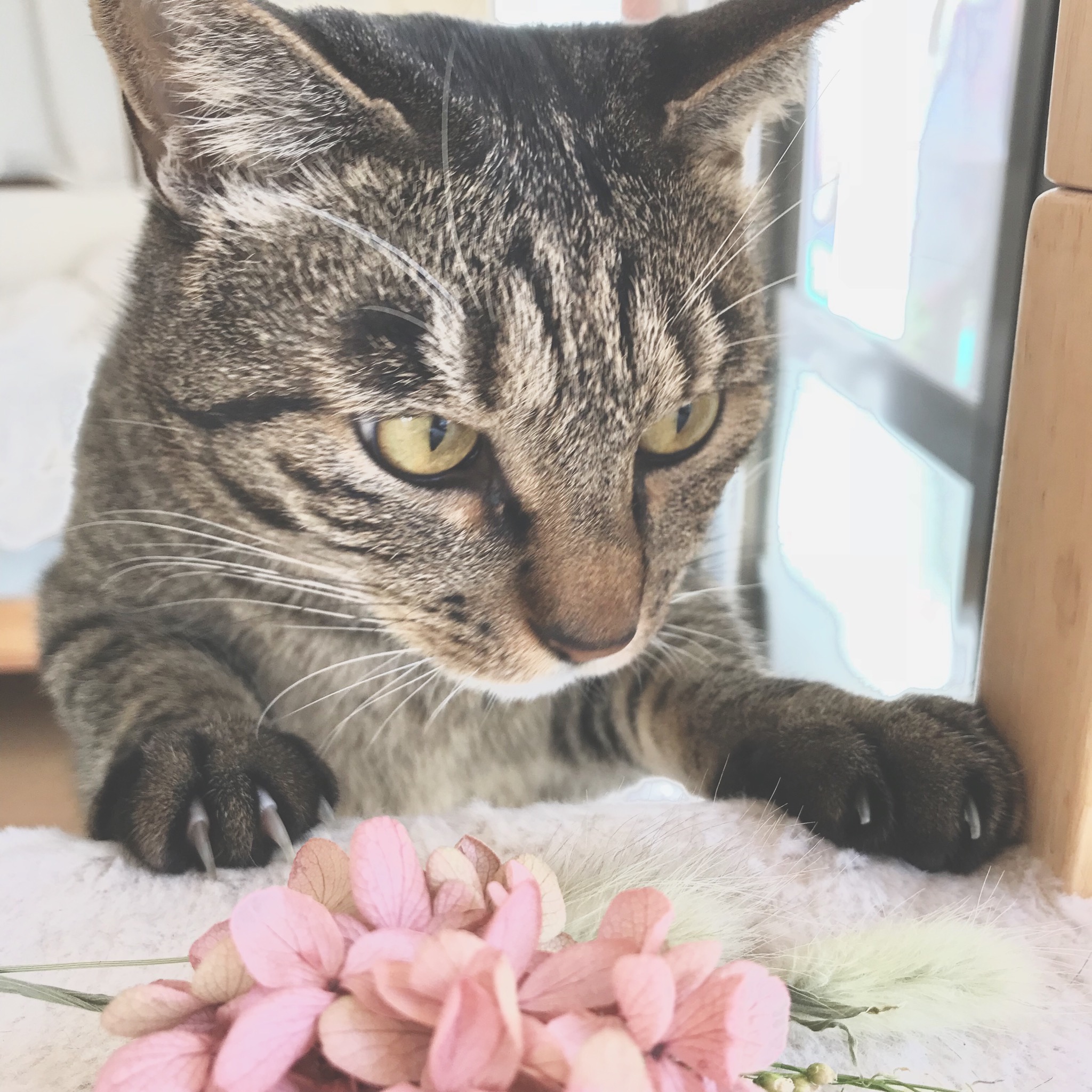 じかんがない、けどあるんだろうな